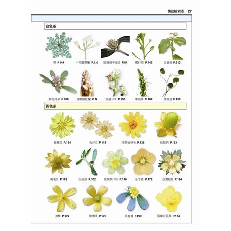 盆栽常見雜草|台灣最常見的20大雜草